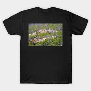 Bluebells T-Shirt